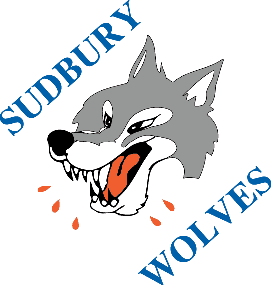 Sudbury Wolves 1989-2009 primary logo iron on transfers for clothing